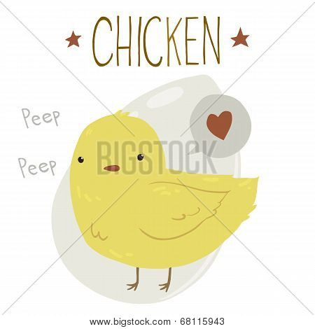 Vector cartoon flat Cute Yellow Baby Chicken.
