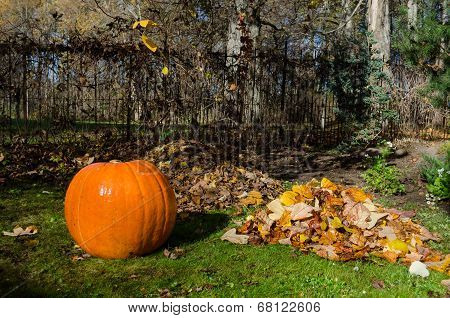 Pumpkin And Pile Dried Leaves. Autumnal Concept.