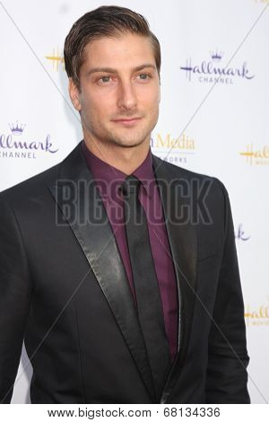 LOS ANGELES - JUL 8:  Daniel Lissing at the Crown Media Networks July 2014 TCA Party at the Private Estate on July 8, 2014 in Beverly Hills, CA
