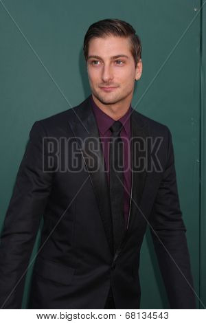 LOS ANGELES - JUL 8:  Daniel Lissing at the Crown Media Networks July 2014 TCA Party at the Private Estate on July 8, 2014 in Beverly Hills, CA