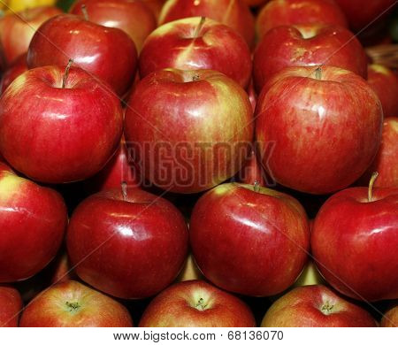 Group of red apples