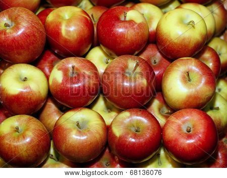 Group of red apples in row