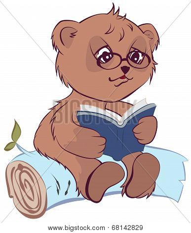 Bear reading book