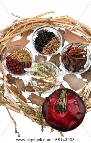 Traditional chinese herbal medicine ingredients, close-up