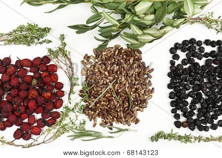 Traditional chinese herbal medicine ingredients, close-up