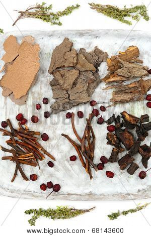 Traditional chinese herbal medicine ingredients, close-up