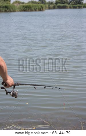 Catch The Bait Fish