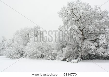 Vinter på Park