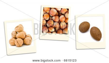 Nuts Photos
