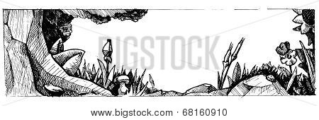 Forest  Glade