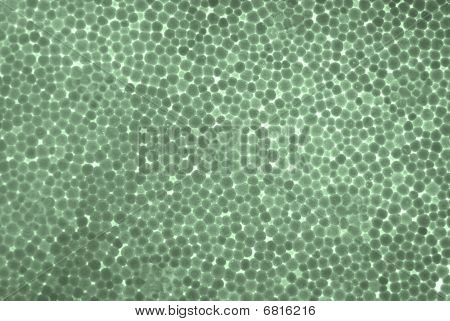 Polistren hücre doku.