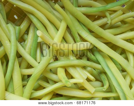 Green Bean