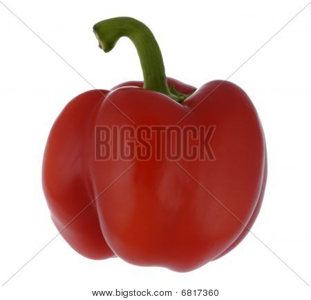 Poivron bulgare