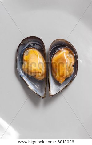 Mussel hjerte form