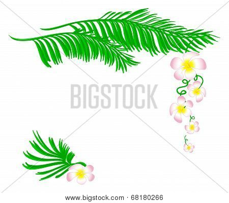 Floral Pattern
