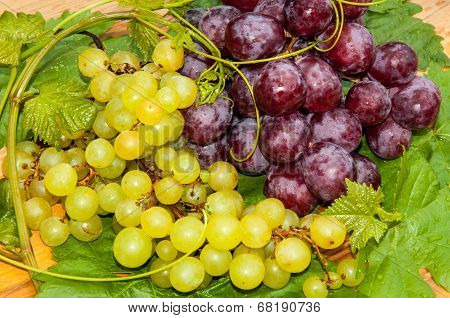 Bunch Of Grapes,
