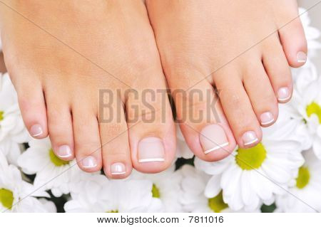 Bellissimi piedi femminili ben curati