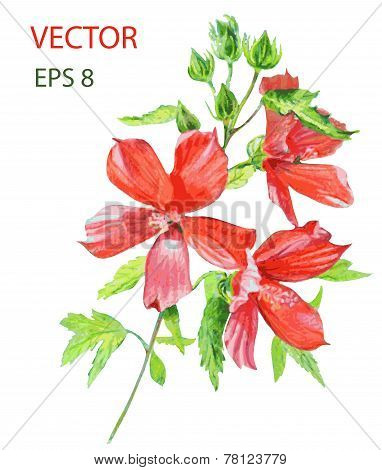 Beautiful  flower. Watercolor painting.