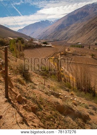 Elqui Valley Portrait