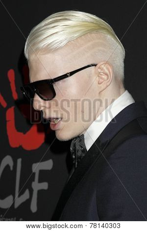 LOS ANGELES - DEC 11:  Bera Ivanishvili at the Rihanna's First Annual Diamond Ball at the The Vineyard on December 11, 2014 in Beverly Hills, CA