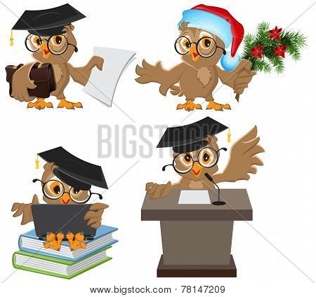 Set owl in mortarboard