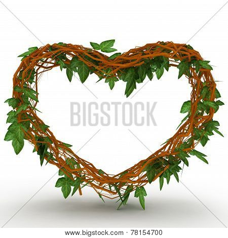 heart
