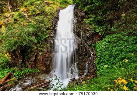 Small Waterfall In Val Di Sole