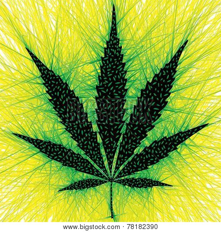 marijuana