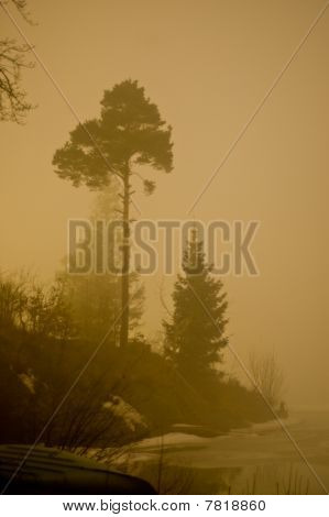 Tåget nat.