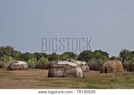 Dasanech Tribe