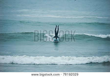 Creative Surfer