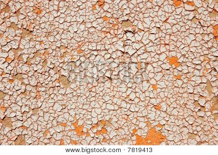 Cracky 색의 배경