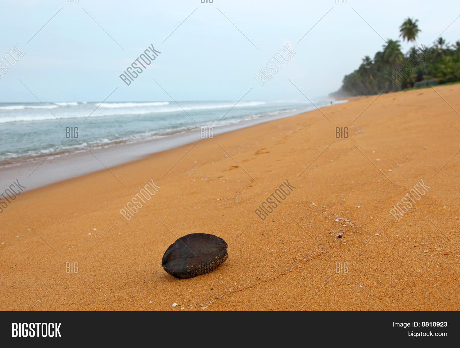 Image Preview