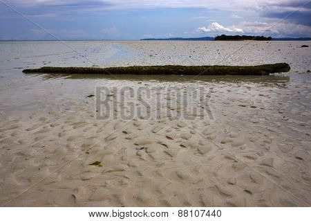 Wood In The Beach