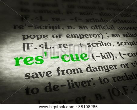 Dictionary Rescue Green On BG