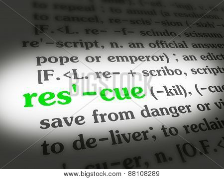 Dictionary Rescue Green On White