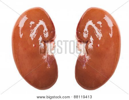 Kidney Raw Pork