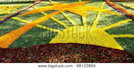 Flowers Gallery in Baghdad