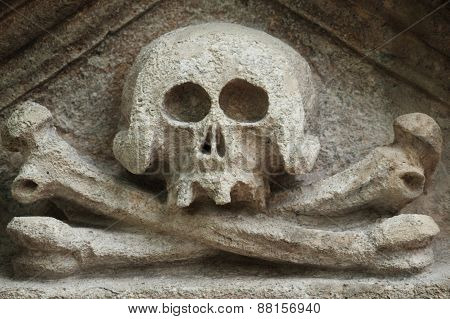 human skull as a symbol of death temporality and finitude (statue)