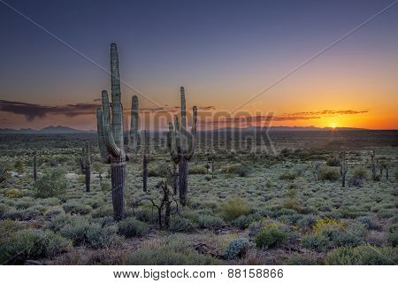 Sunset Over The Phoenix Valley In Arizona