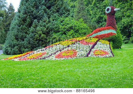 Flower Bed In The Form Of Figures Peacock