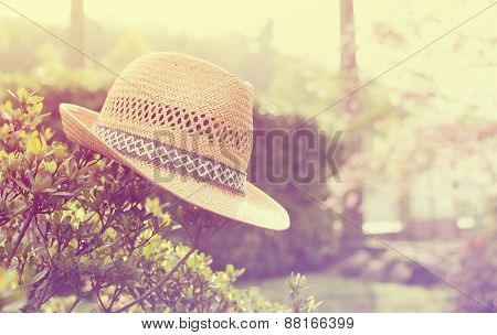 Old straw hat against attached on a plant in garden