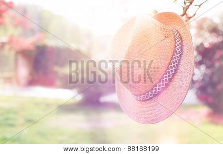Old straw hat against attached on a plant in garden