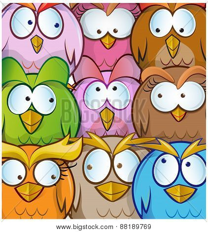 Funny Owl Cartoon Background