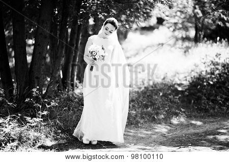 Gorgeus Brunette Bride Outdoors