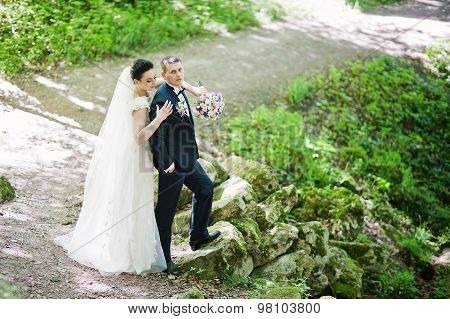 Gorgeus Wedding Couple On Green Sunny Forest On Stones