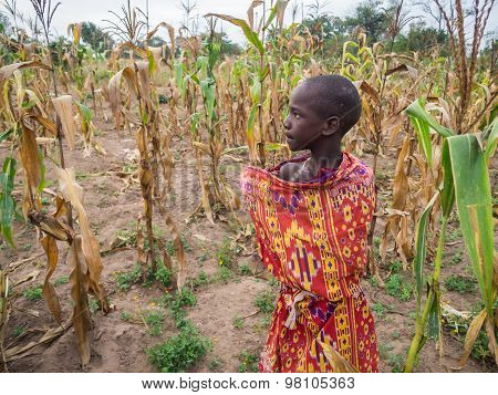 Maasai