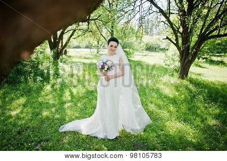 Gorgeus Brunette Bride Outdoors