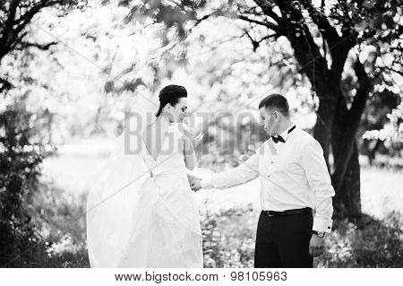 Gorgeus Wedding Couple On Green Sunny Forest