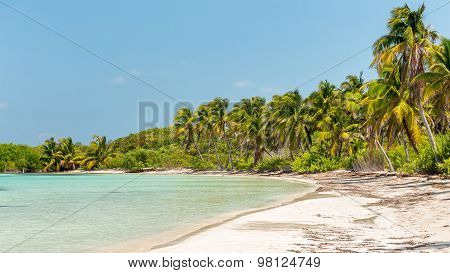 Tropical Paradise
